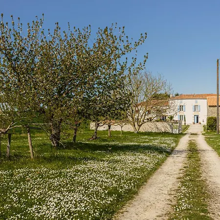 La Belle Parenthese A La Rochelle * Vergne