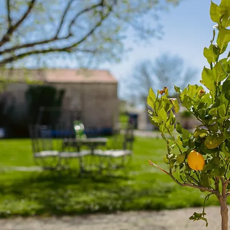 La Belle Parenthese A La Rochelle * Vergné